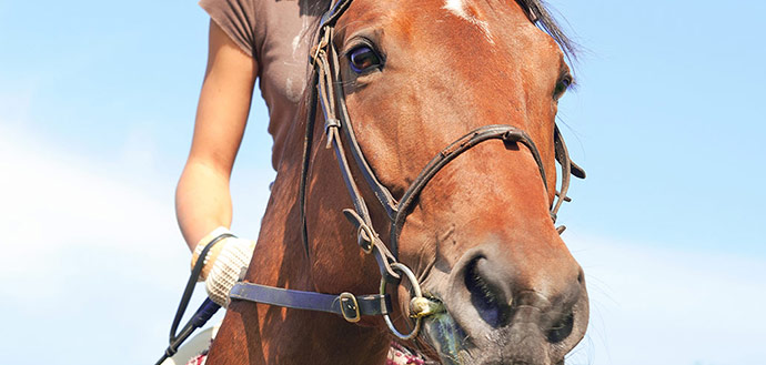 Balade à cheval