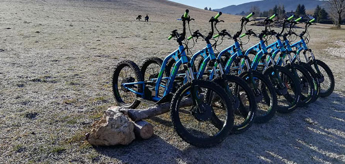 Trottinette électrique